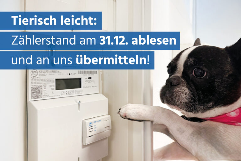 Übermitteln Sie jetzt Ihren Zählerstand www.ablesen.de/walldorf/