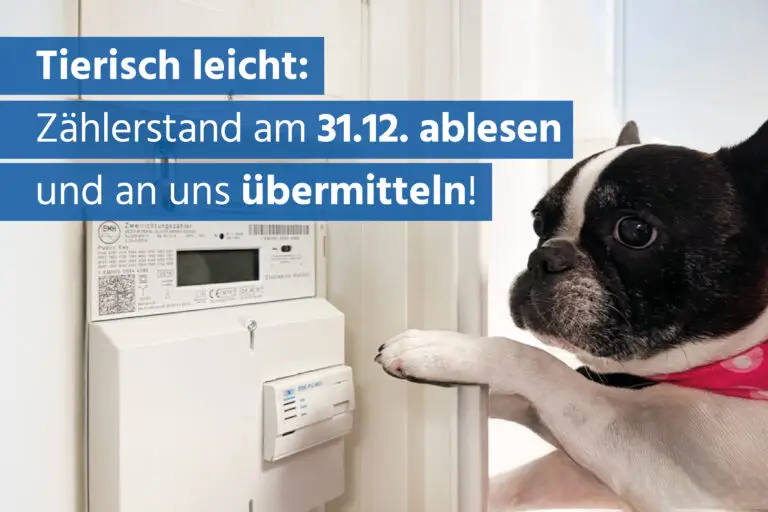 Übermitteln Sie jetzt Ihren Zählerstand www.ablesen.de/walldorf/